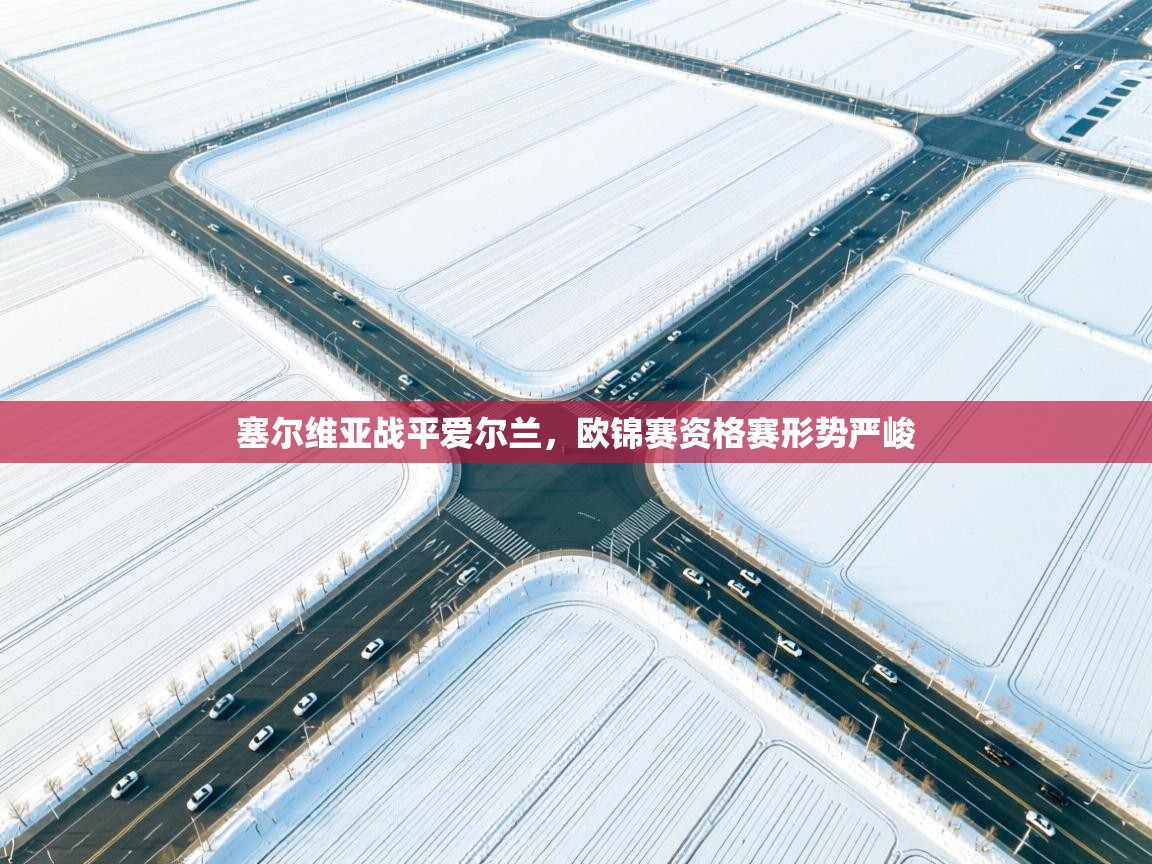 开云kaiyun体育app入口下载官网-塞尔维亚战平爱尔兰,欧锦赛资格赛形势严峻 第1张