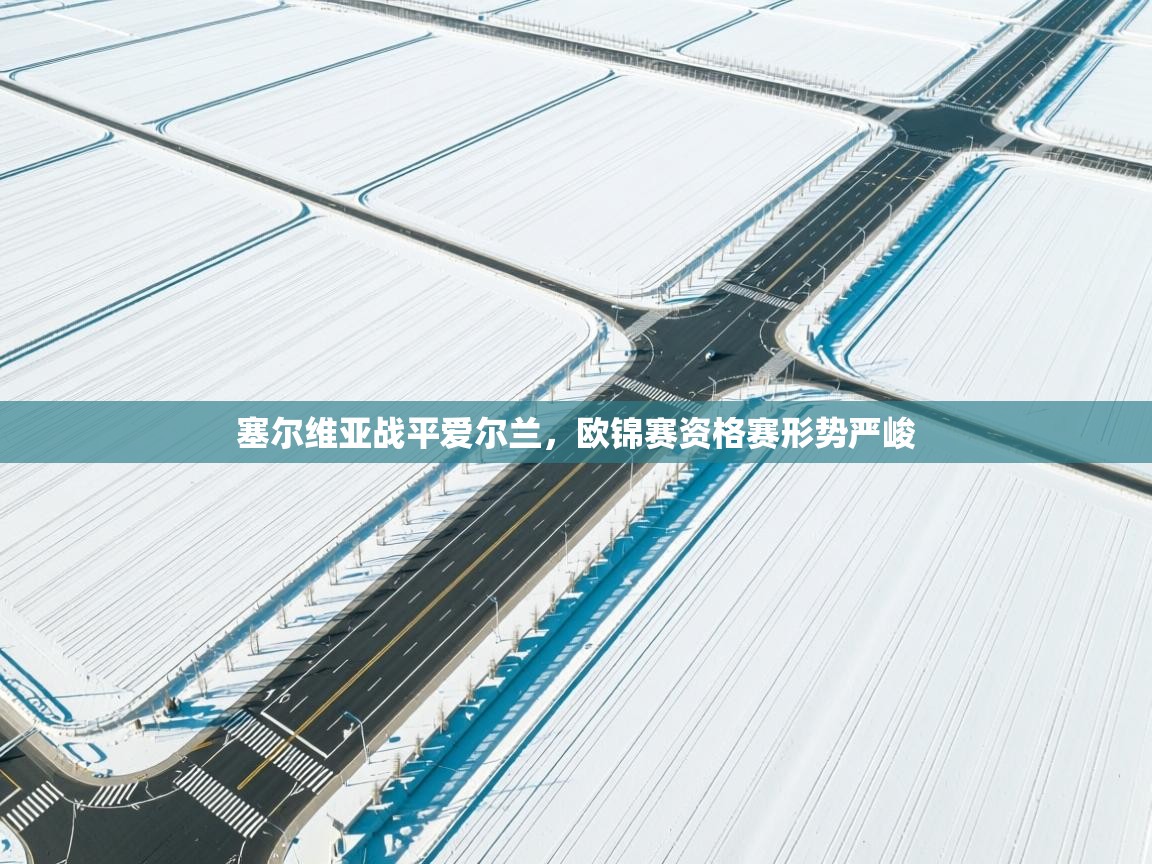 开云kaiyun体育app入口下载官网-塞尔维亚战平爱尔兰,欧锦赛资格赛形势严峻 第4张