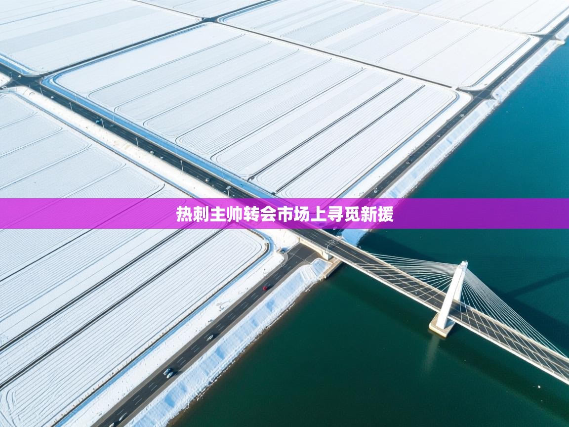 开运体育登录入口-热刺主帅转会市场上寻觅新援  第1张