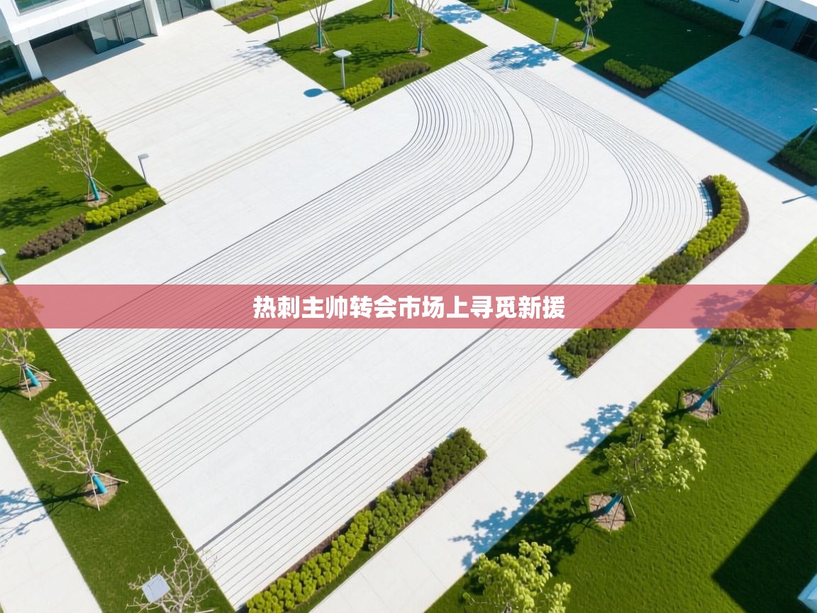 开运体育登录入口-热刺主帅转会市场上寻觅新援  第2张