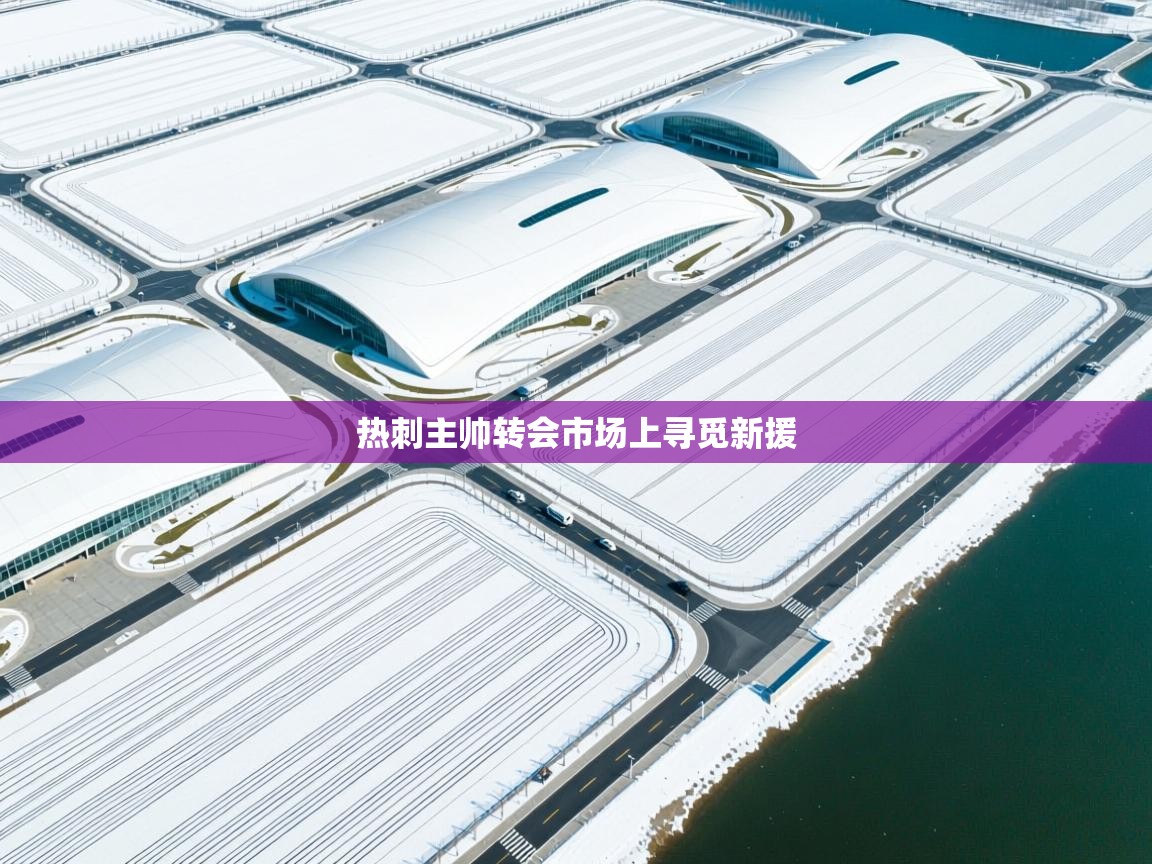开运体育登录入口-热刺主帅转会市场上寻觅新援  第4张