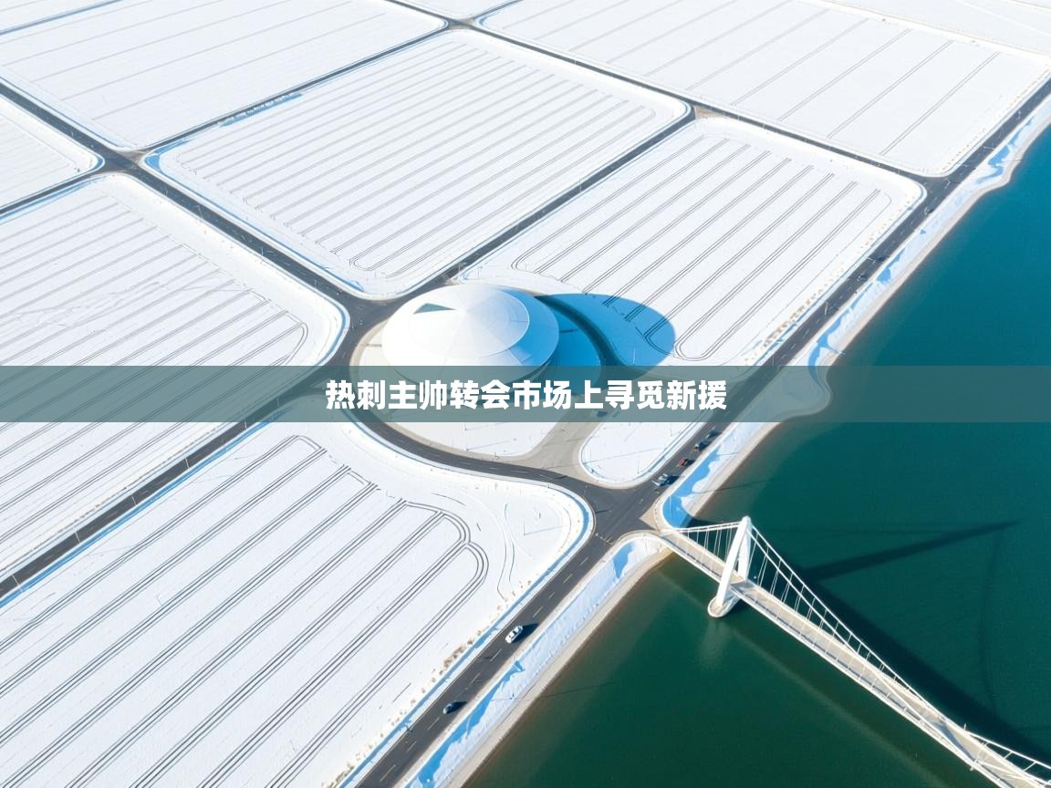 开运体育登录入口-热刺主帅转会市场上寻觅新援  第3张