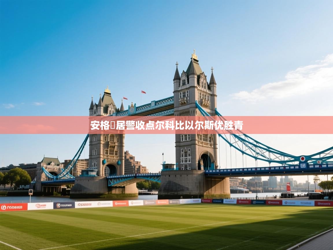 开云体育iOS安装教程-安格岡居警收点尔科比以尔斯优胜青 第1张