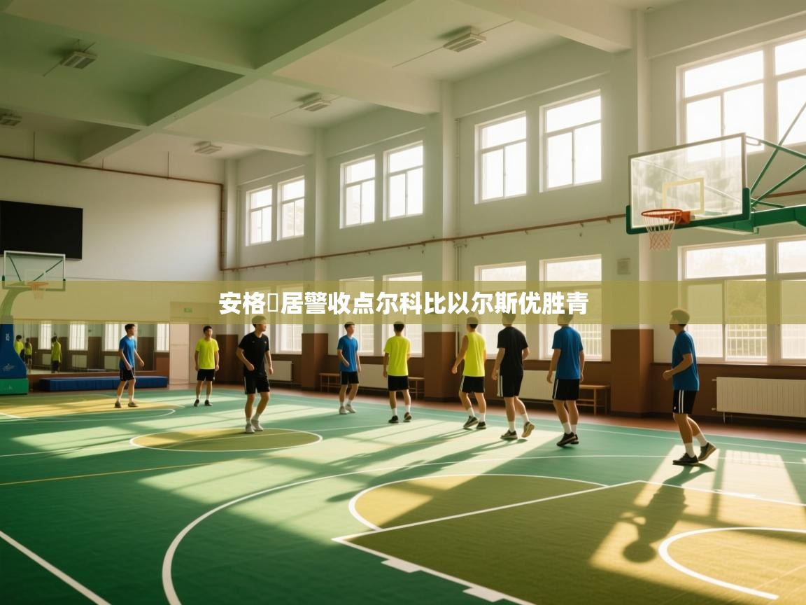 开云体育iOS安装教程-安格岡居警收点尔科比以尔斯优胜青 第2张