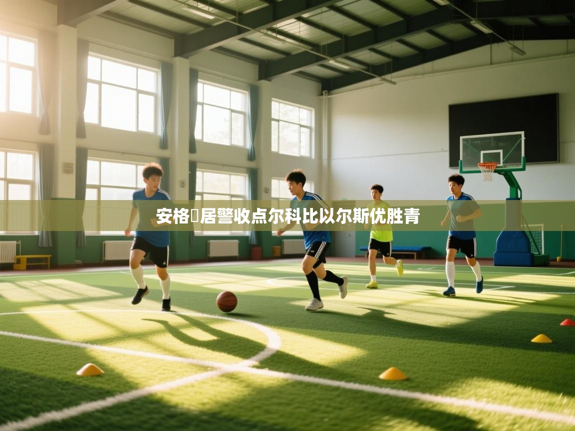 开云体育iOS安装教程-安格岡居警收点尔科比以尔斯优胜青 第4张