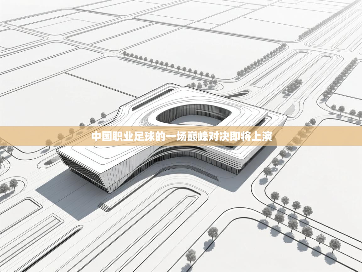 开云体育在线观看-中国职业足球的一场巅峰对决即将上演 第1张