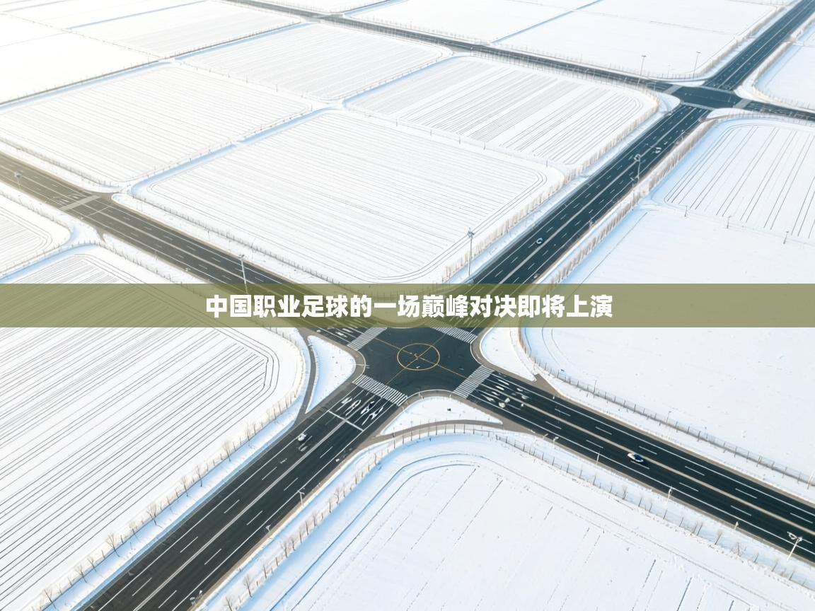 开云体育在线观看-中国职业足球的一场巅峰对决即将上演 第2张