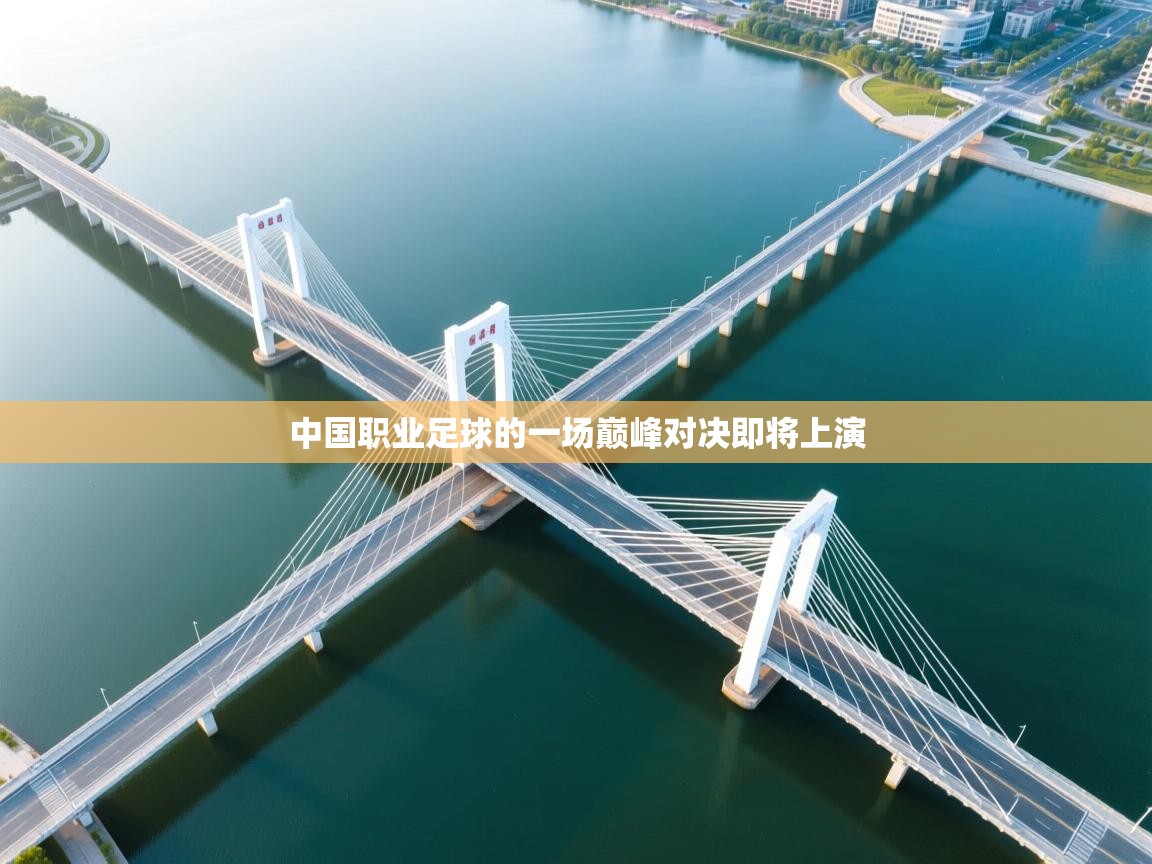 开云体育在线观看-中国职业足球的一场巅峰对决即将上演 第4张