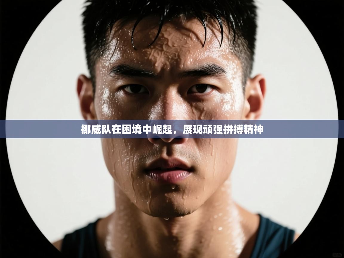 开云体育app官网入口-挪威队在困境中崛起，展现顽强拼搏精神  第2张