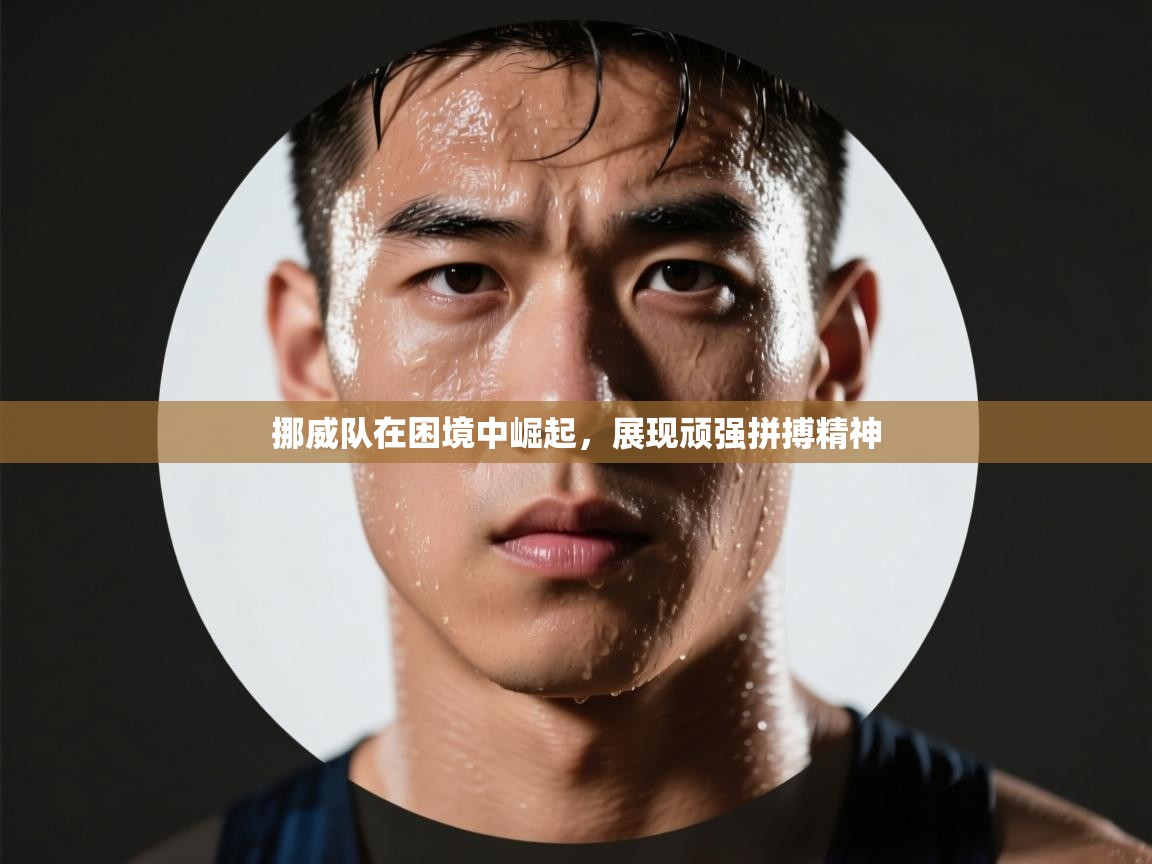 开云体育app官网入口-挪威队在困境中崛起，展现顽强拼搏精神  第4张