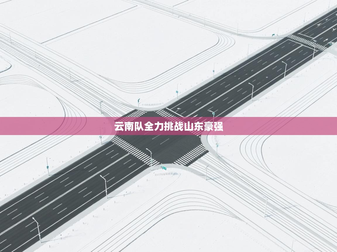 开云体育旧版下载地址-云南队全力挑战山东豪强 第2张