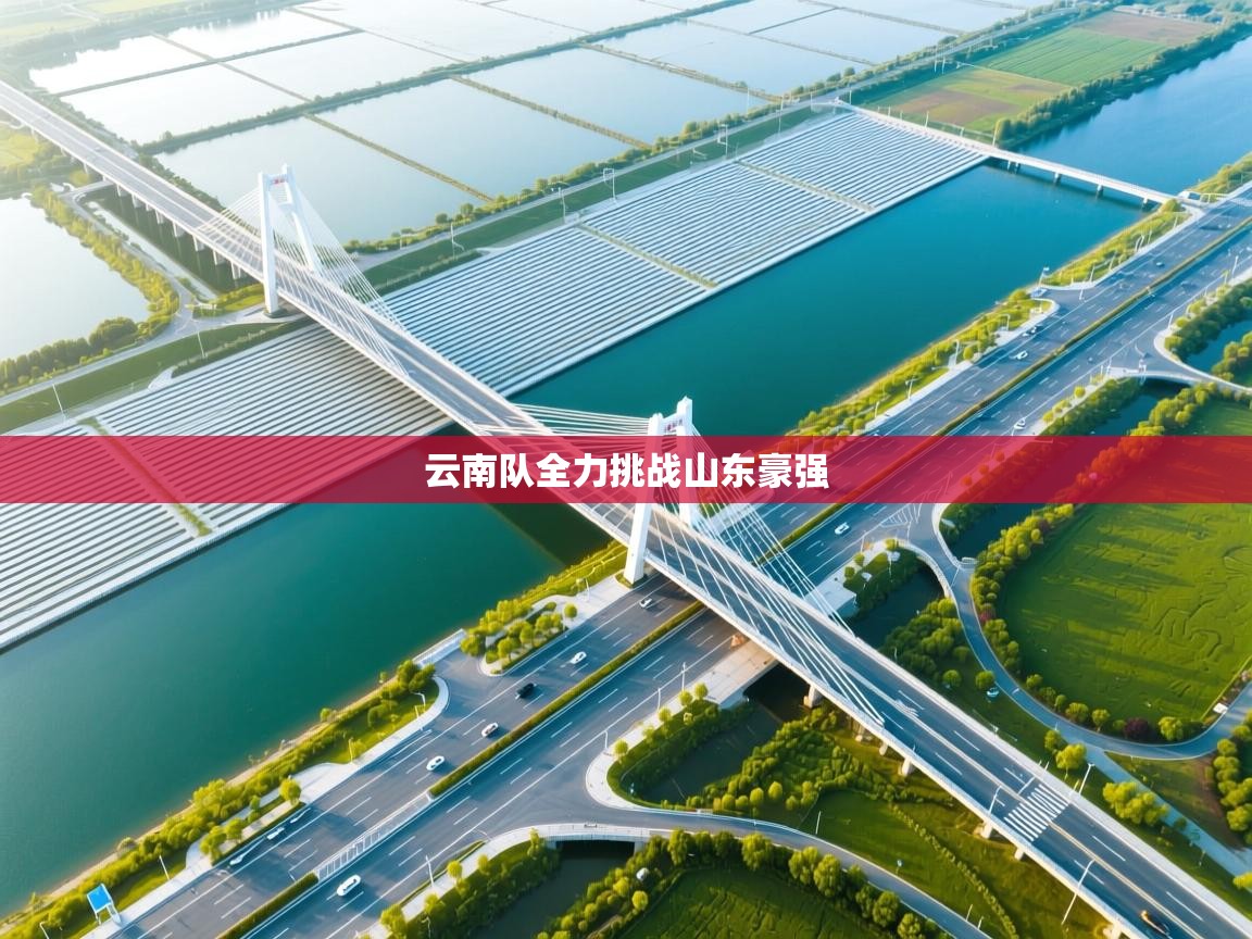 开云体育旧版下载地址-云南队全力挑战山东豪强 第3张