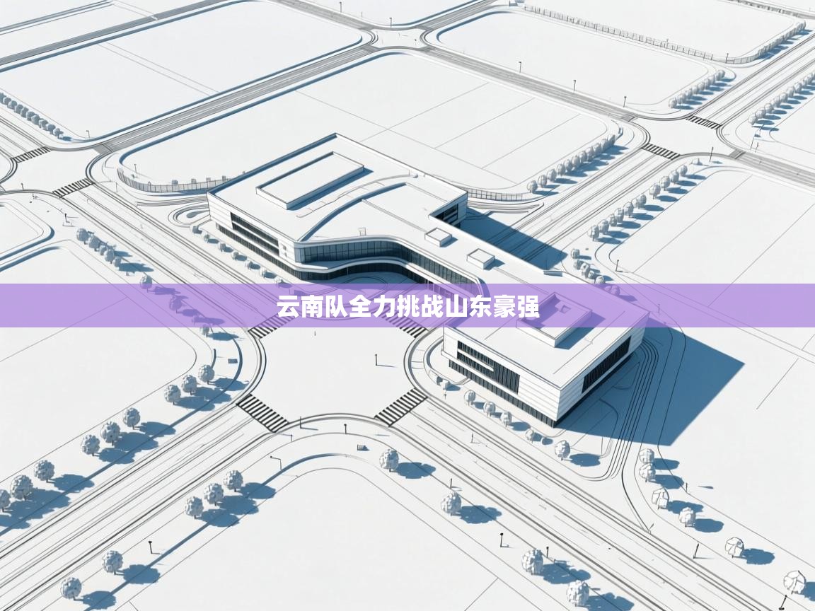 开云体育旧版下载地址-云南队全力挑战山东豪强 第4张