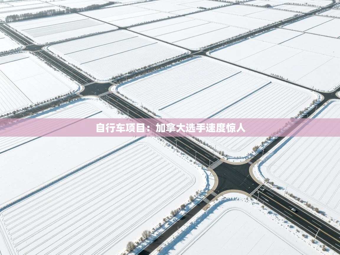 开云kaiyun体育app入口登录官网-自行车项目：加拿大选手速度惊人  第3张